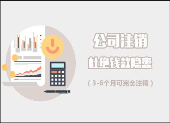 验资报告